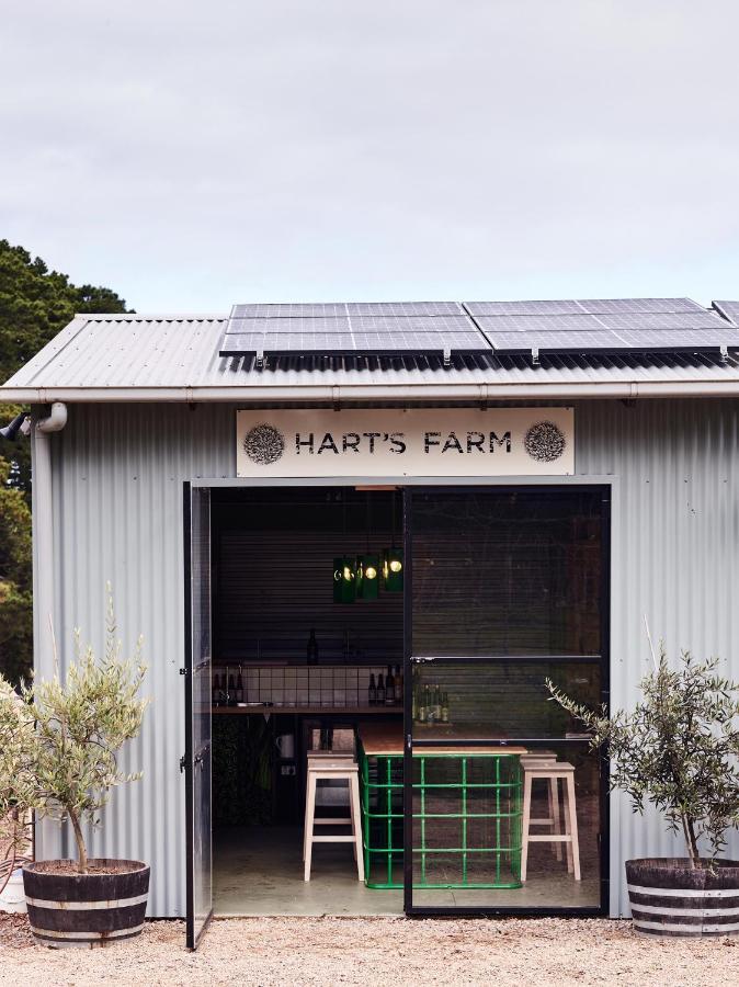 Hart'S Farm Bed & Breakfast Shoreham Bagian luar foto